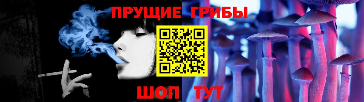 Псилоцибиновые грибы мицелий Жигулёвск